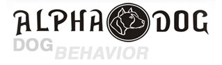 ALPHA DOG Hundeschule Mannheim und Umgebung